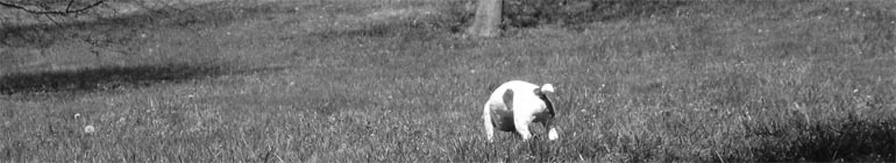 Jan Žufníček header image