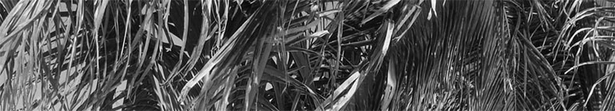 Jan Žufníček header image