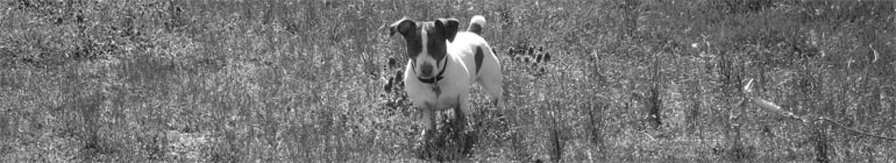 Jan Žufníček header image